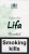 Lifa Menthol Duty Free
