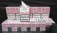 Plaisir Nano